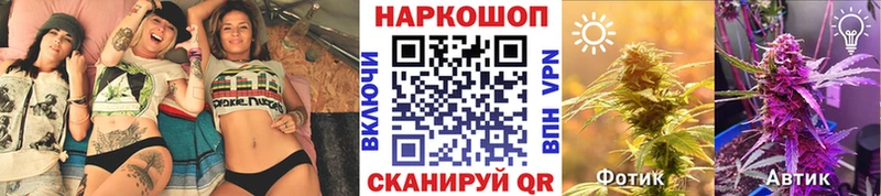 Где купить Кологрив АМФЕТАМИН  Мефедрон  КОКАИН  Alpha PVP  ГАШ  Канабис 