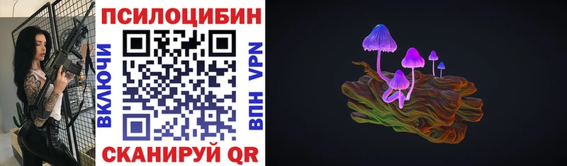 Псилоцибиновые грибы Psilocybe  Кологрив 